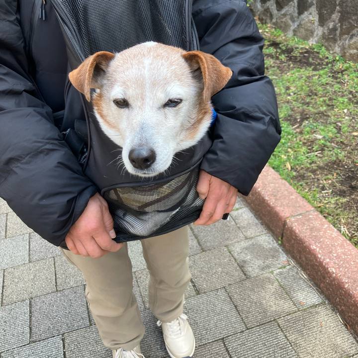 82ed09fb 2fd6 4a26 90de b1c903e2ec6f 1771737140176