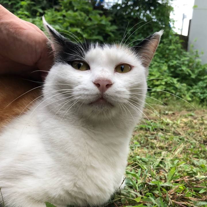 82ed1103 452b 4509 9ce7 0c8b52022979 1600250041034