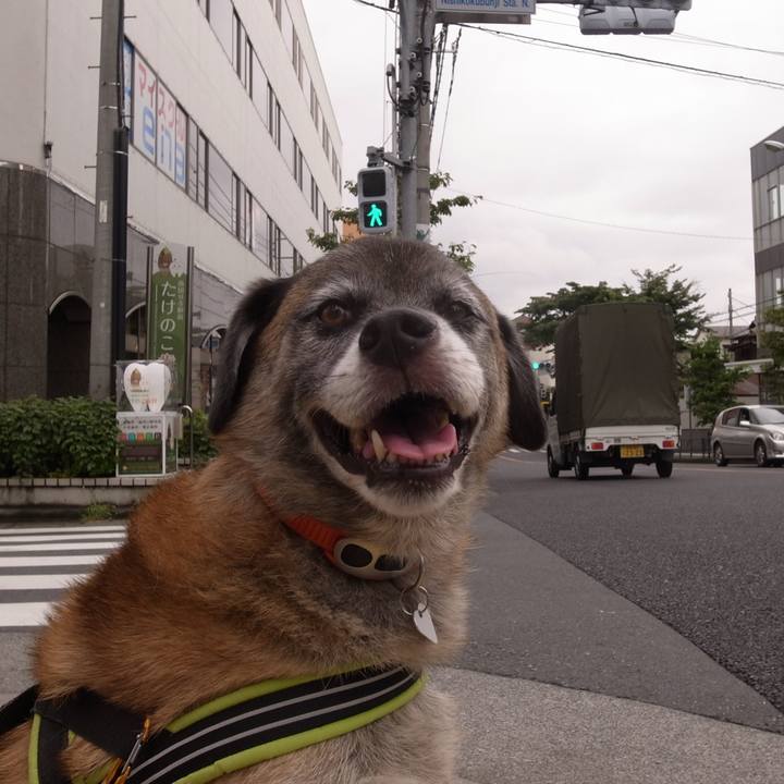 82ed3760 170a 447f 8334 b5573bc53bf6 1589074072906