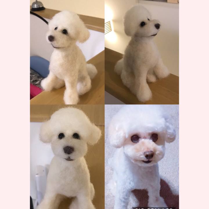 82ed39d3 c91d 4636 80cd 467a97be1616 1525278597179