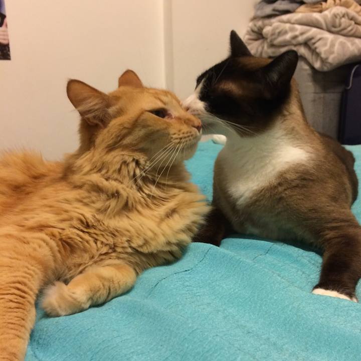 82ed615e a408 4039 b444 9725555e2299 1514413001768