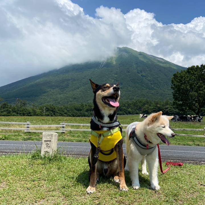 82ed830a 642d 477d 8151 4afaab12a7d6 1689599706703