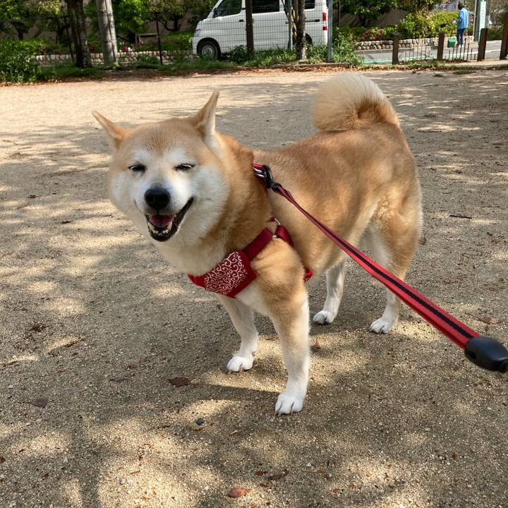 82eda63c 78d5 47ce afad 44409cb68c56 1618452103202