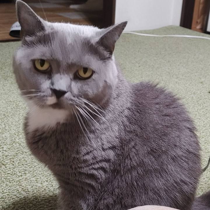 82eda732 15a9 42d5 b300 c2eedc895ac7 1727097958372