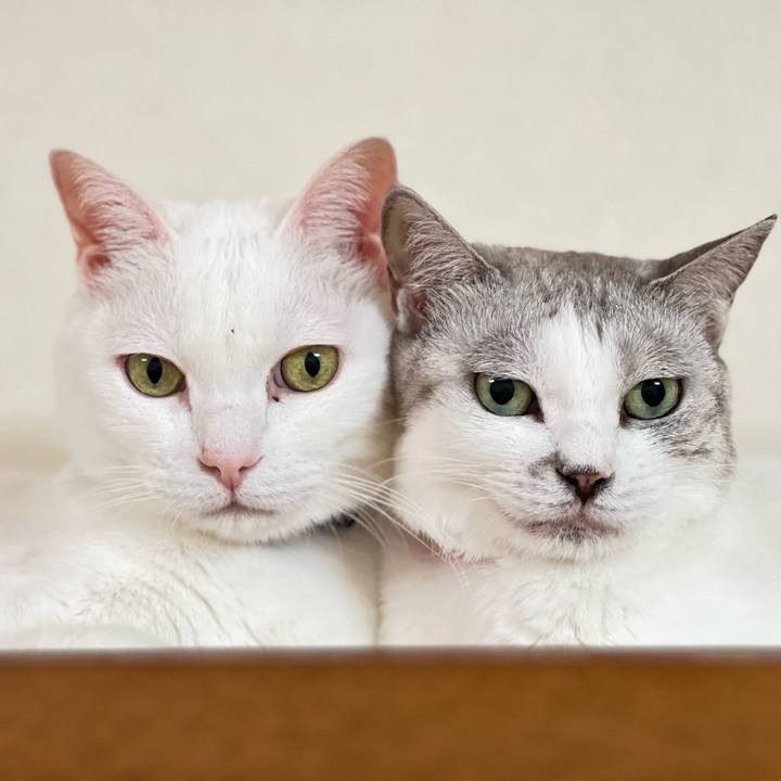 82edb0c9 a565 4465 b176 9632c8a57ba9 1673486636100