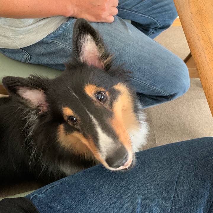 82edc4ff 67c3 470f 9319 bdf8758643cd 1600468681900