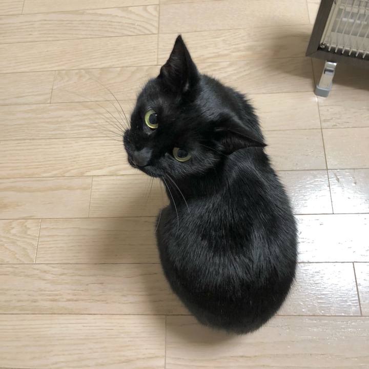 82edcfc4 4722 4f24 bf19 94dadf0062fa 1639061393885