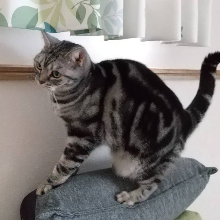 82edd7c2 0b02 441c b4f6 dd41cf76b697 1643189896909