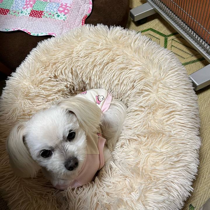 82ede861 5558 4351 af7e 1ec99958bb7b 1684046238361