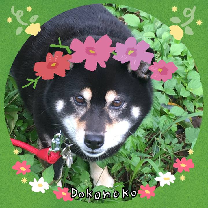 82edecc5 a38f 4da8 981e 3a9566c23421 1726880532793