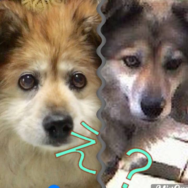 82ee550f cbcf 429c b5e1 6041afec27cd 1584322323954