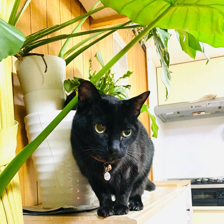 82ee68be 0c8d 4c4b 998d 9f0a07051a53 1736054745703