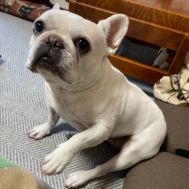 82ee6904 0bc7 4e2d b905 a21c622ed79f 1758787435528