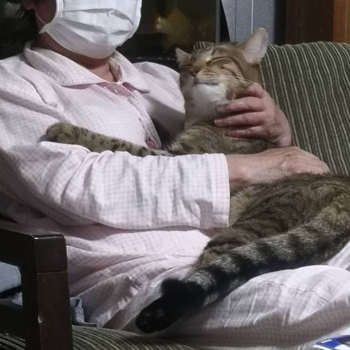 82ee7180 da45 48a9 afcc 2b11af033baa 1631802393495