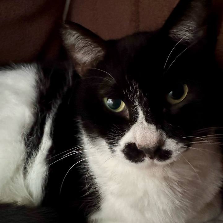 82eea399 6b38 427f b27b 31ebe0f025ab 1737948262239