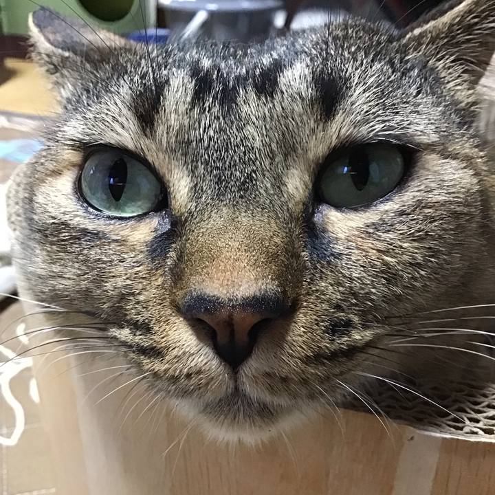 82eead5a ee40 46ea ab2a fff27eaf3226 1732701762413