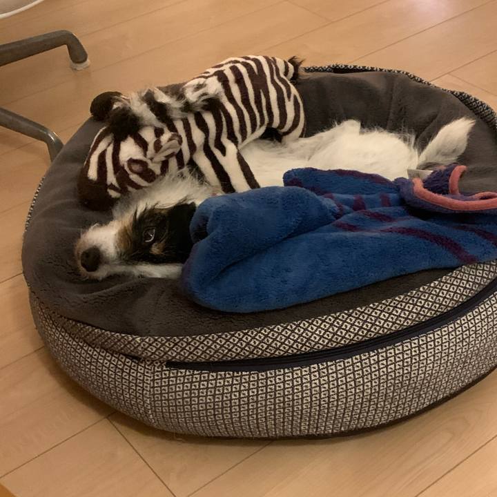 82eee684 a677 4aa7 9c70 3ccb4234eac7 1717159390167