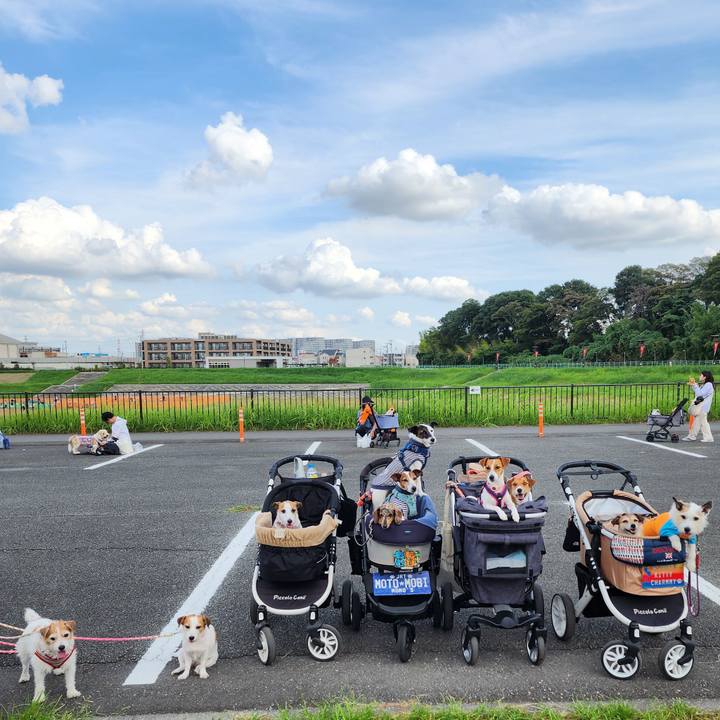 82eefe12 482c 4f56 9300 498d1cbe62e4 1759068854596