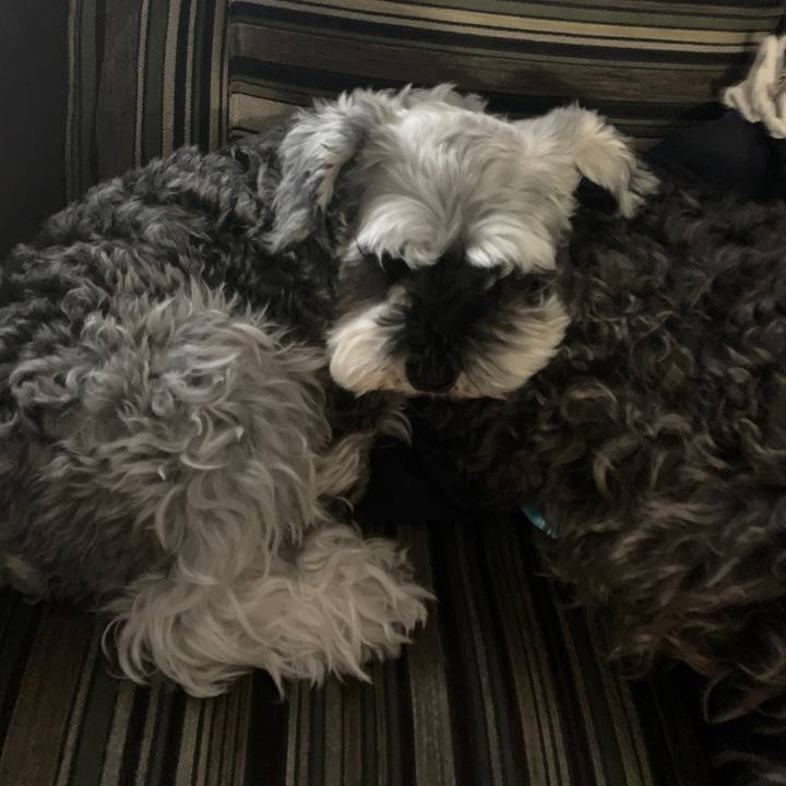 82eefeb5 213a 4740 a930 c4048ec7536f 1652062060749