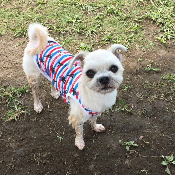 82ef0cf1 2195 4727 b39e eb44fd3b351f 1534663247838