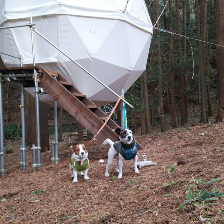 82ef1ef0 dd35 405f 9fdd 172bfeefae69 1517131631488