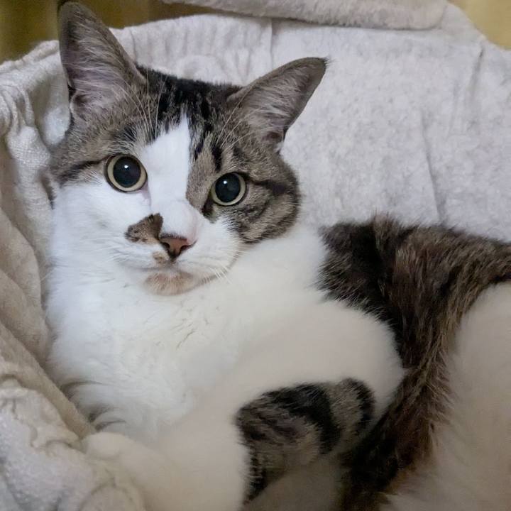 82ef47cb 7993 4473 9792 dd038629ed82 1743770255159