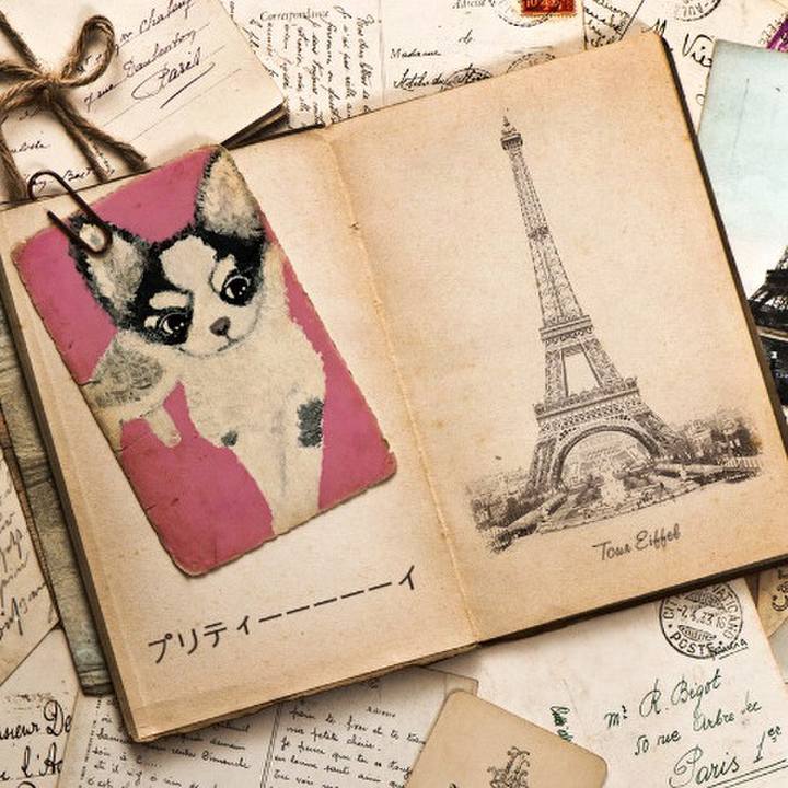 82ef82e5 03eb 4ac0 a36e 49dbbca3b6a2 1552732316061