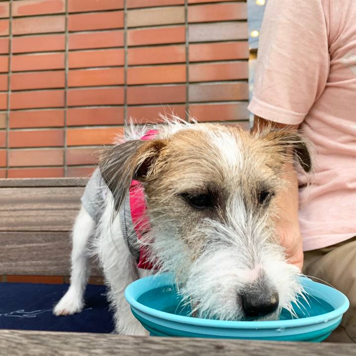 82ef8b5e 8fd2 4cb4 a3e3 badd671a76fb 1569236751308