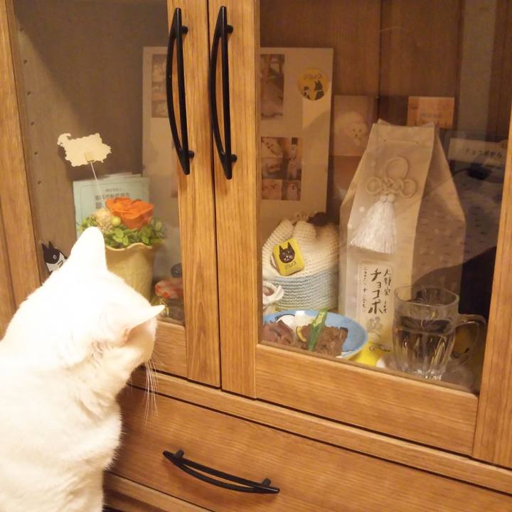 82ef9276 b8bb 4436 9abf f1d35abe2fd6 1534337573451