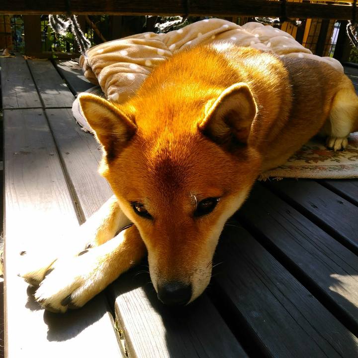 82efb0ae 3482 4d5e 9d23 7e3938dc054b 1508982359067