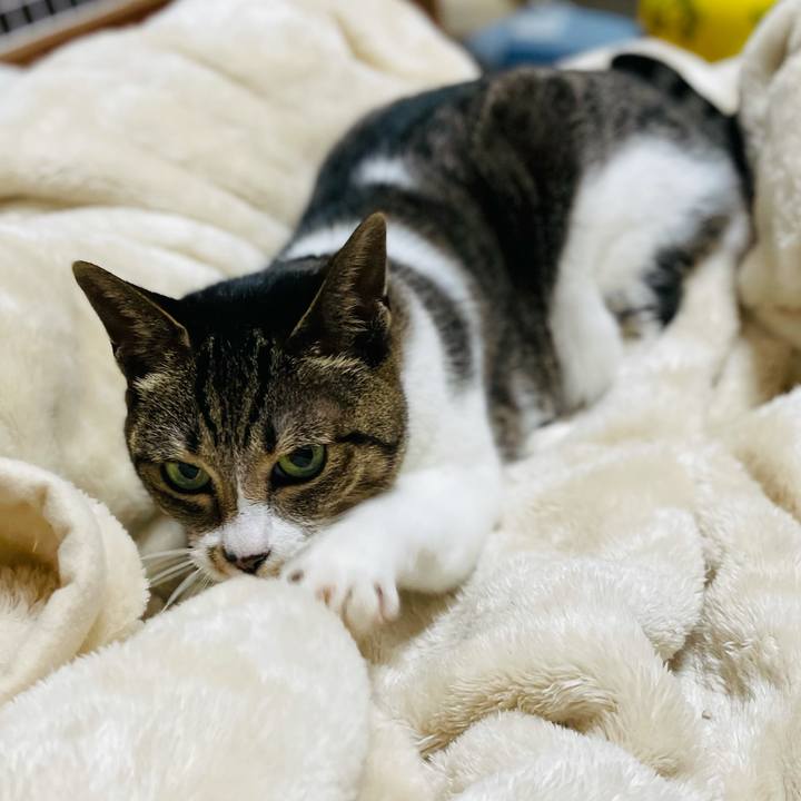 82efc884 84c1 4251 b8c7 131ed11ed79e 1608774543575