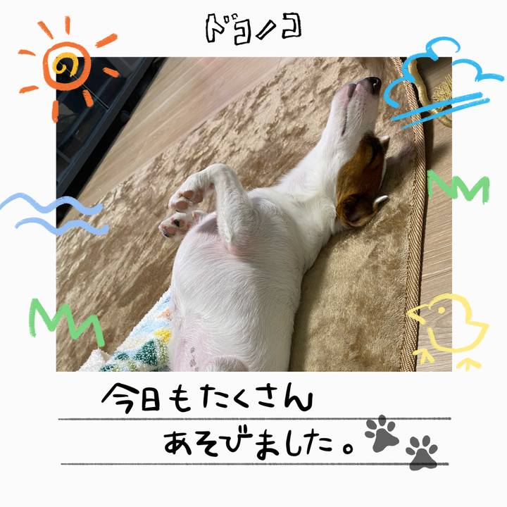 82efe348 7260 4e08 9e90 c7fa68b9da4c 1755403236568