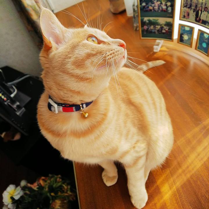 82efee24 e561 4505 b7b7 bb5989c49bf5 1552608591345