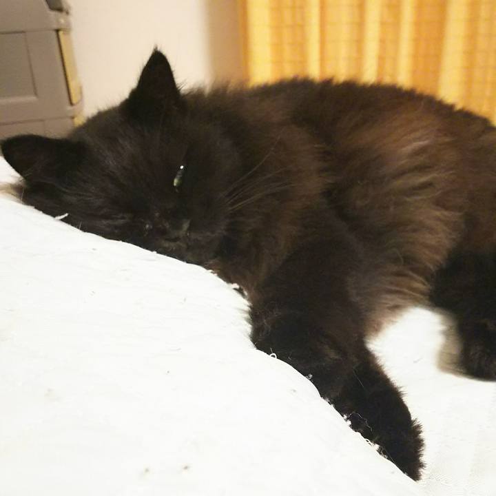 82f009f2 071a 40d5 9a4e 0c4d828278df 1534943880139