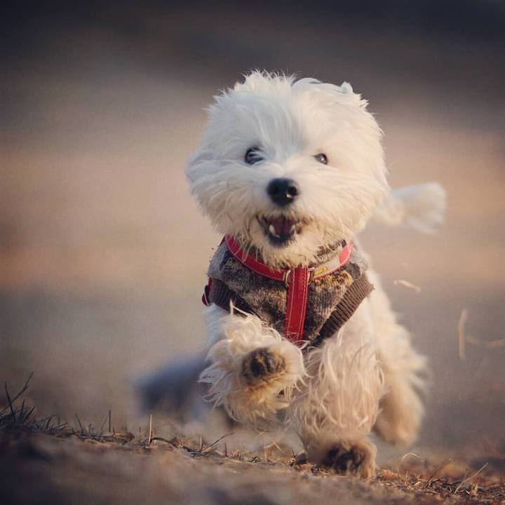 82f074bf 7bae 4fa6 b6b8 16a21cbf5c14 1518218683827