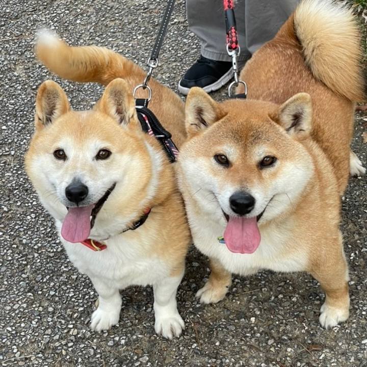 82f0a5a8 3faa 4042 885c 48f53f5826c2 1766170036042