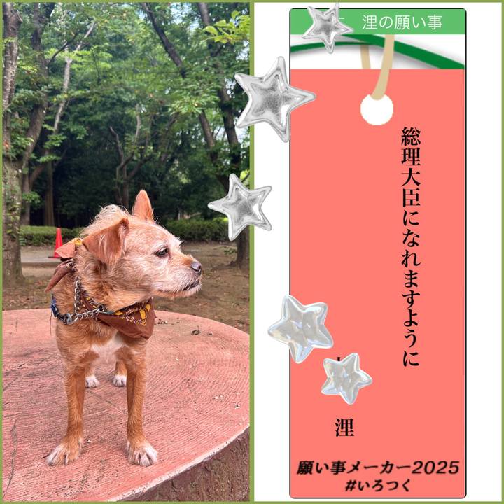 82f0b685 6ef1 4887 b010 1e837372a356 1751861391819