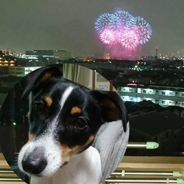 82f0e13c 99ca 42e8 8baf c3f3597b553b 1538230473925