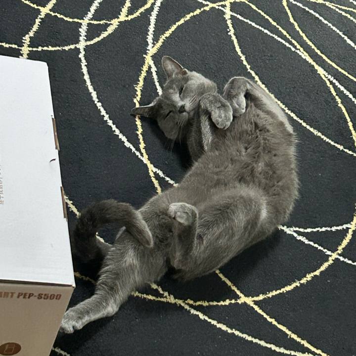 82f10d46 3e27 4253 93e9 6be2f84422fe 1681426579554