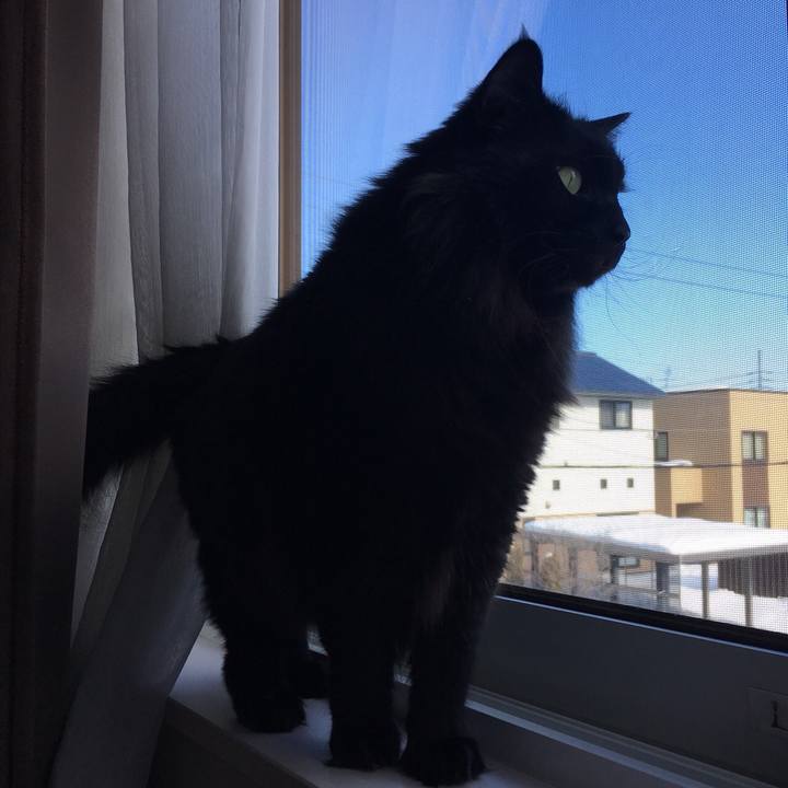 82f12ba9 3af1 4dab 8afd 0a27fa360f92 1550690405509