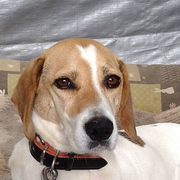 82f131b1 0511 4359 8e25 5e1b116655b2 1626868585061