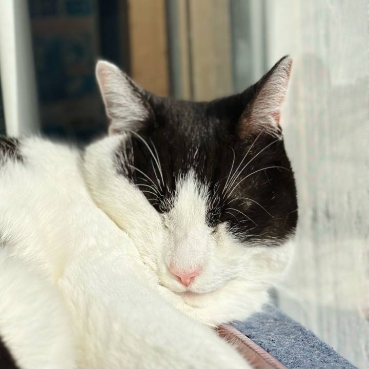 82f1561b 9dda 4fd3 8b7b f180e103180b 1677373947682