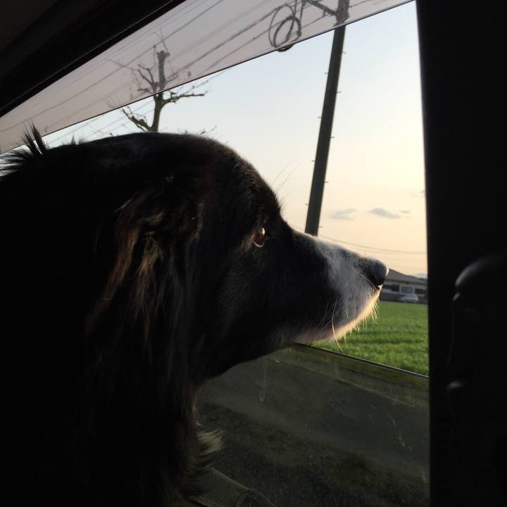 82f15c5c 35fc 41ce 9793 b59790b13f47 1523177937342