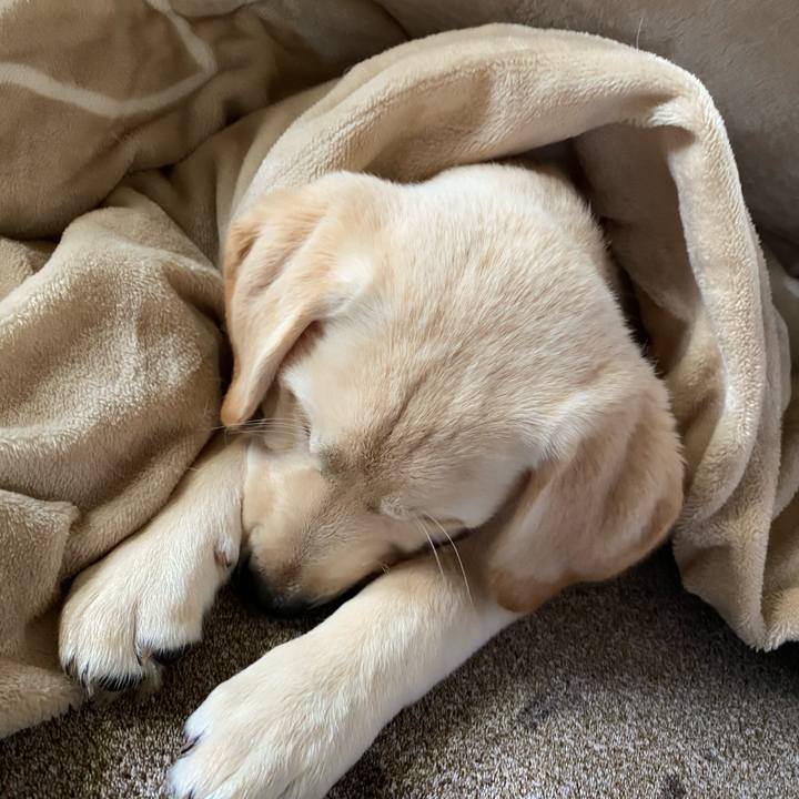 82f1707e d3aa 49e2 a942 c64e5e2c3666 1613525057120