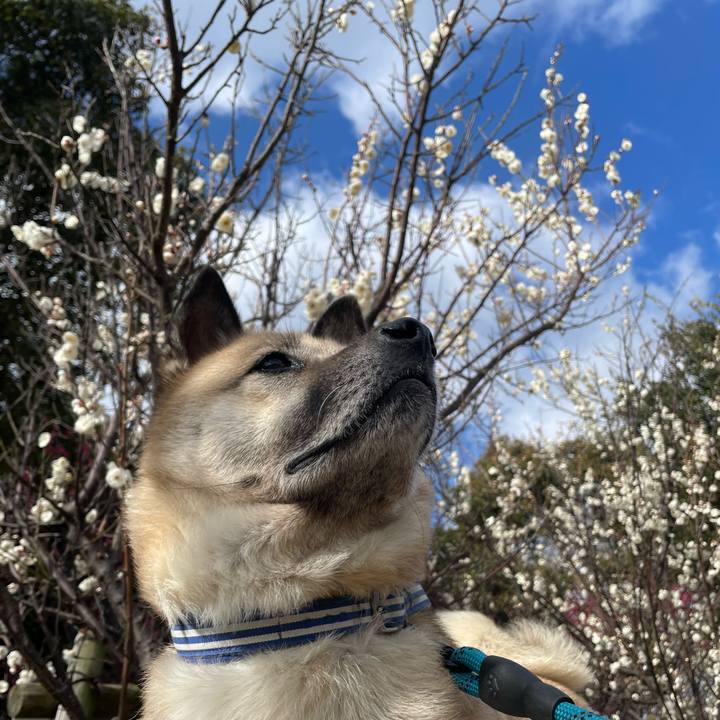 82f1bd66 4f89 49a2 b40d 368c7bcd8395 1677412838986