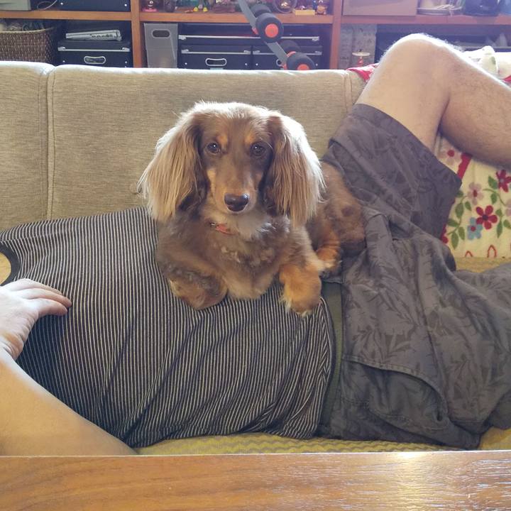 82f21b79 0818 4204 9a08 ad86f45434ce 1564906561970