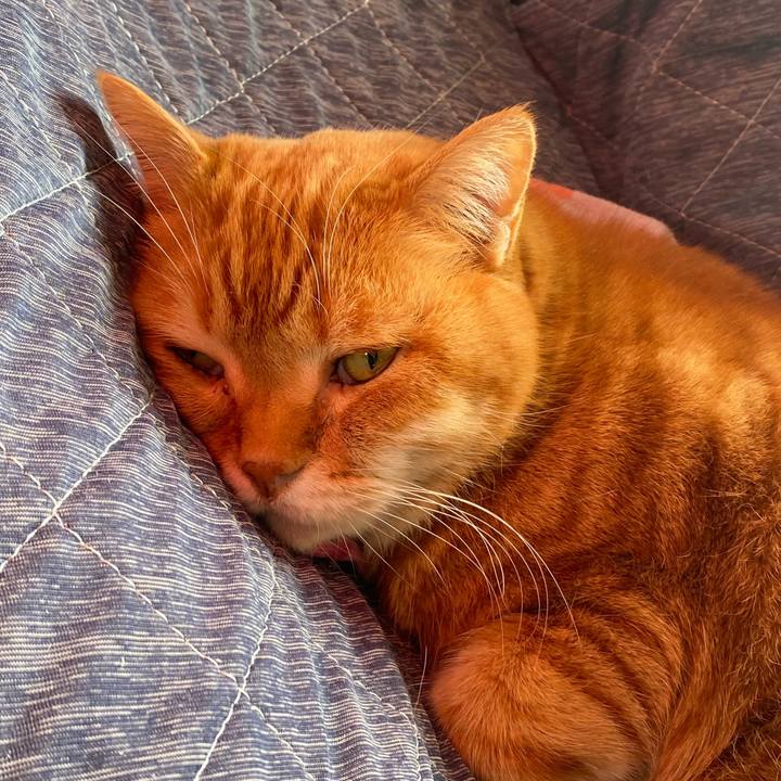 82f21ed8 cecd 468e a02e 87c15b1e781e 1644032541884