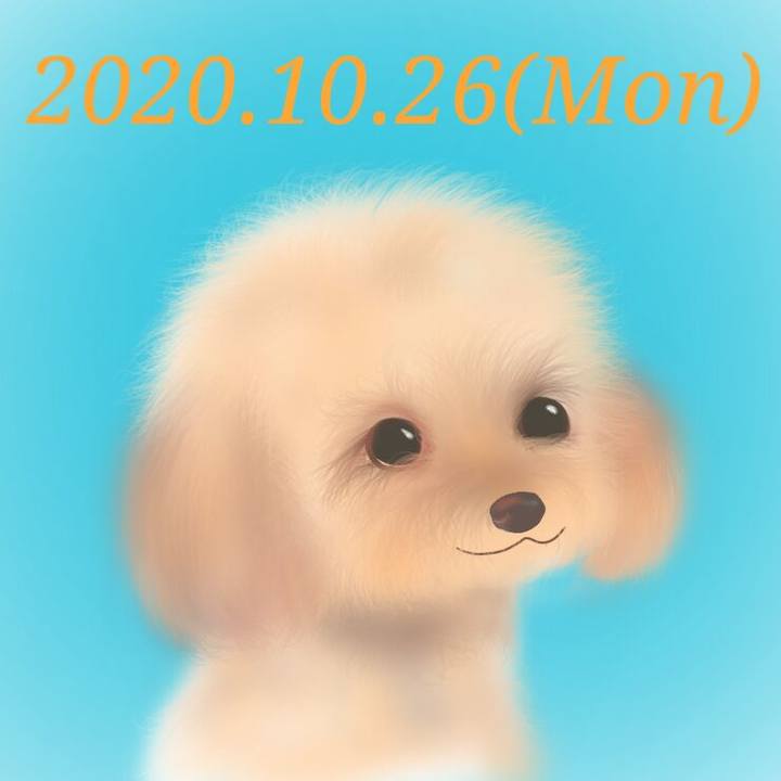 82f23156 24fe 430b bcf1 f68e5066afe0 1603706945438