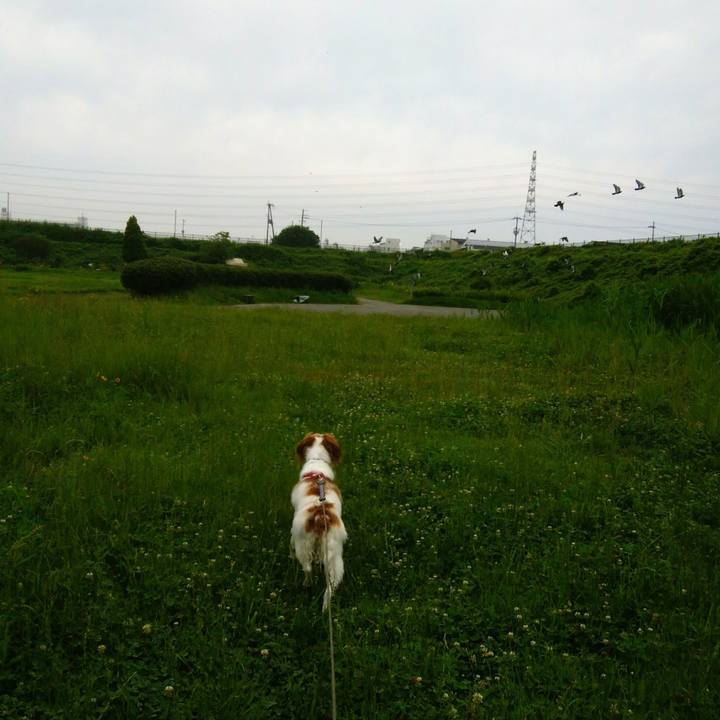 82f26bc8 ade7 417e 82e8 2fd489ec9d76 1529713296897