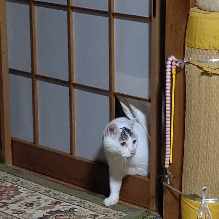 82f27fb7 c878 449f b6d7 05f92874ffb4 1660275073388